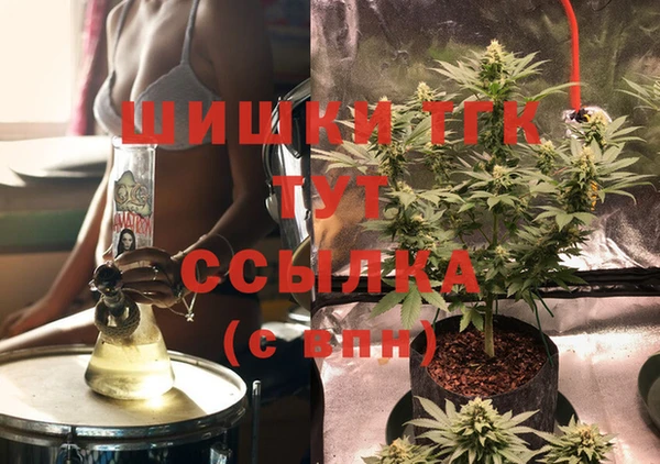 spice Бородино