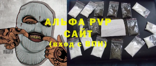spice Бородино